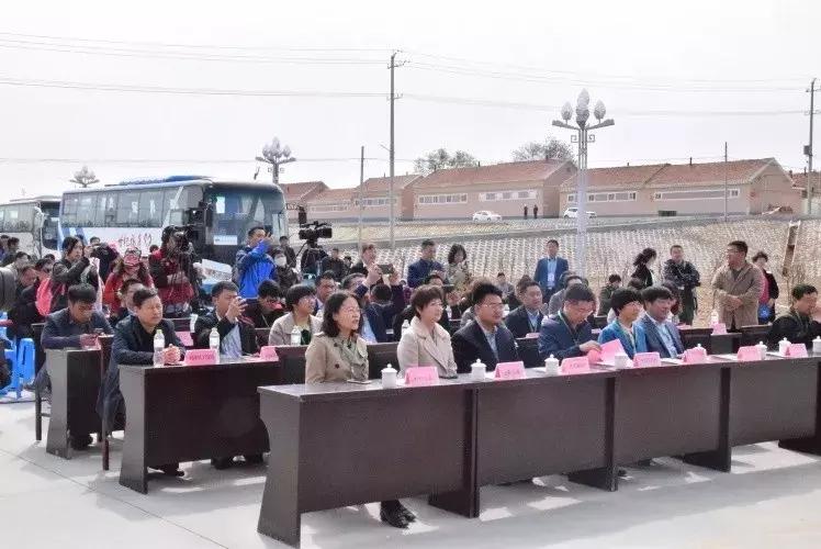 涨停板排行榜2025，涨停预报排行榜