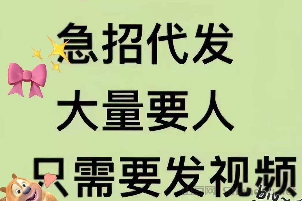 2025新款药盒排行榜，药盒品牌推荐