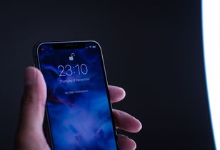 性能机手机排行榜2025苹果，iphone性能排行榜 最新